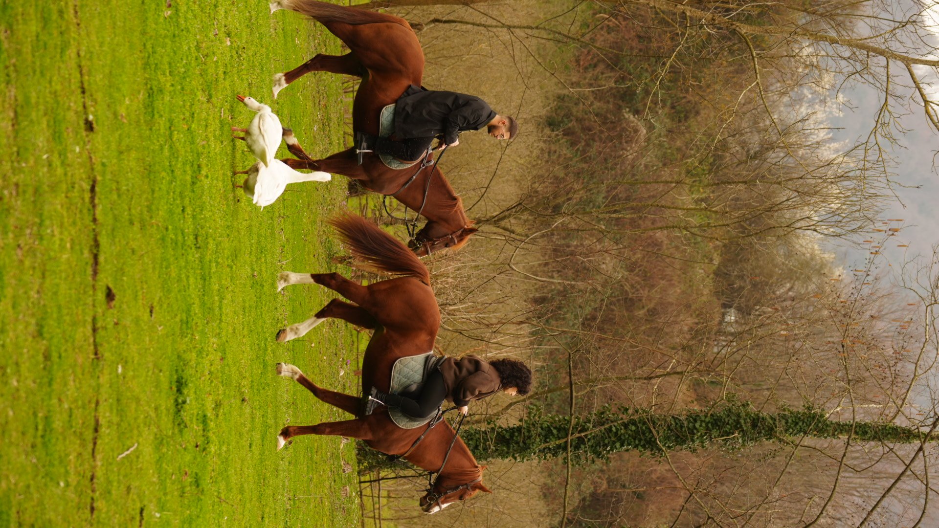 Atlı Tur  Serbest Biniş 30dk