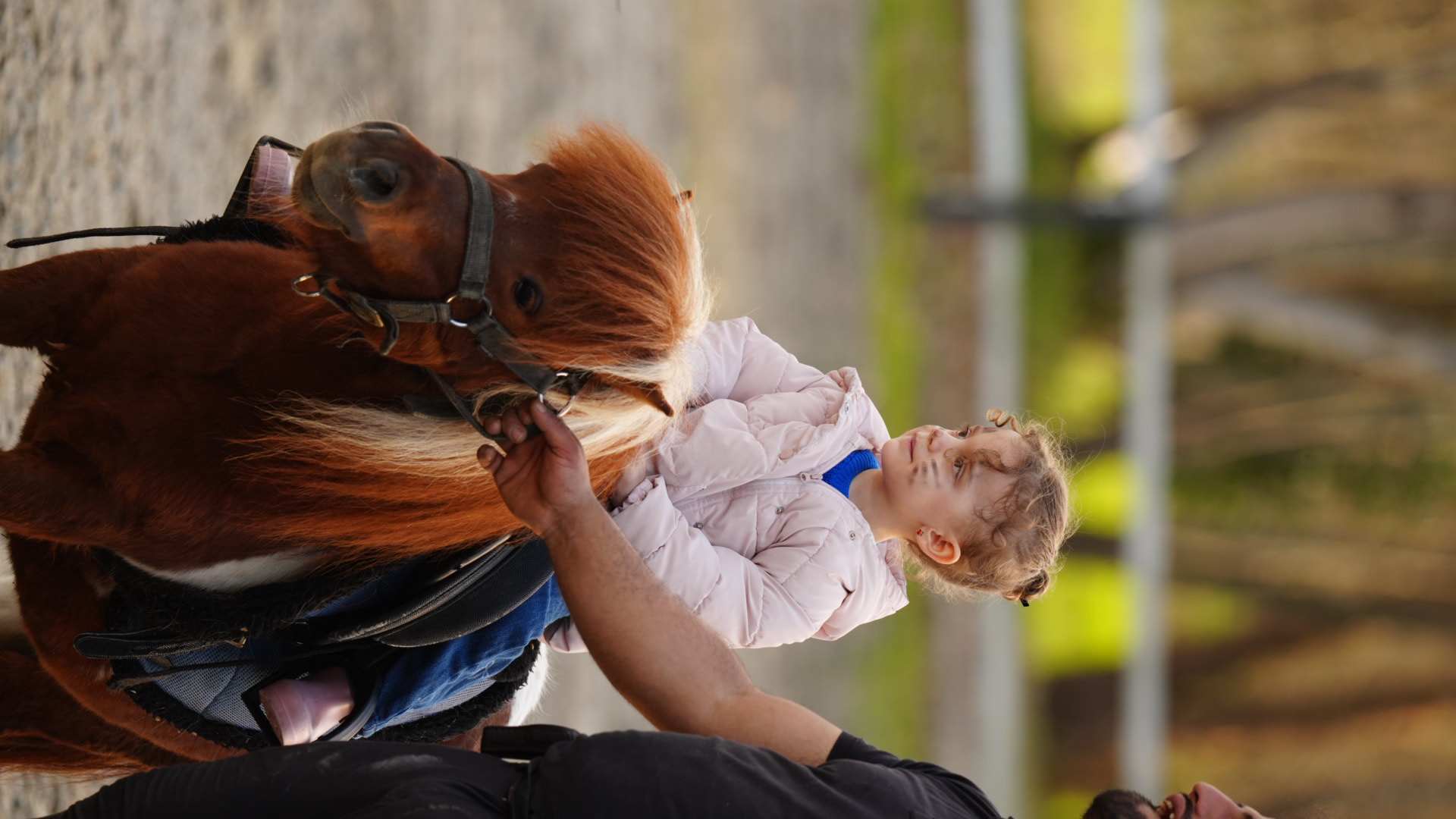 Atlı Tur Çocuk(kısa)